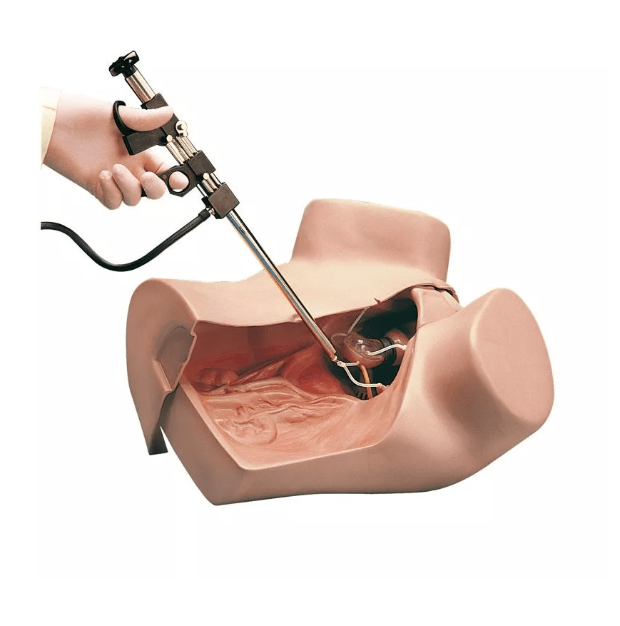 Gynäkologischer Simulator - Erler - Zimmer